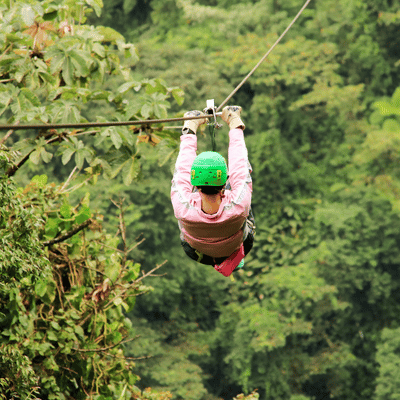 A person ziplining through lush treetops from behind, addressing the common concern is ziplining scary