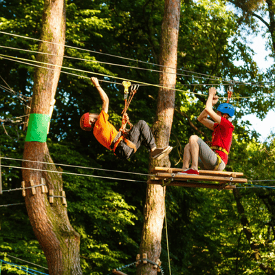 Two people prepare for ropes training challenge on platforms between trees in forest adventure course.

